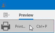 EUD_WpfPrintPreview_MenuPrint